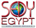 Sedy Egypt